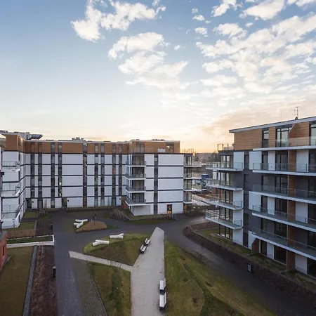 Of The Kings - Leaf *